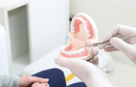 歯周病の説明を受ける
